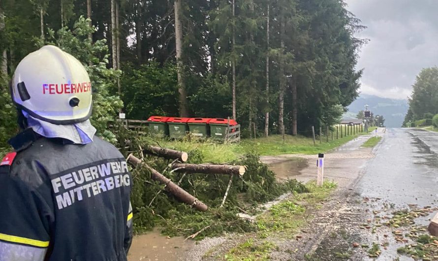 Unwetter-Einsatz: Umgestürzter Baum