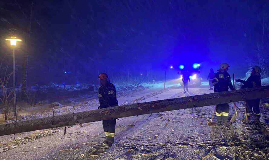 Einsatz nach umgestürzten Bäumen