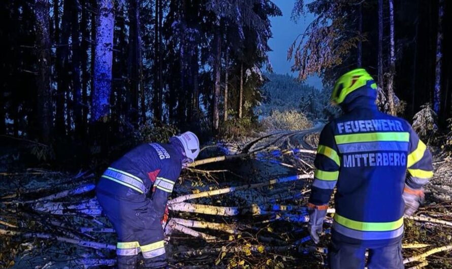 Freimachen von Verkehrswegen nach Sturm