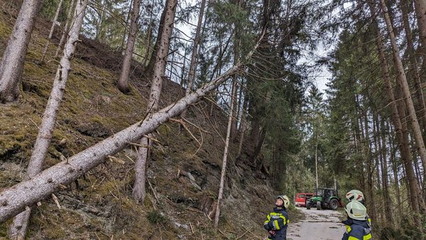 Aufräumarbeiten nach Sturm