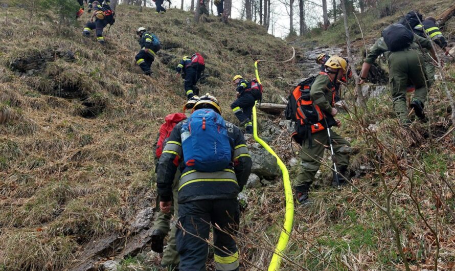 Waldbrandeinsatz in Wildalpen